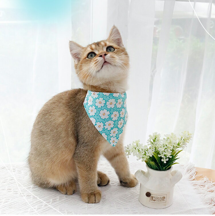 優しい花柄で春にぴったり！選べる16色 ペットグッズ 犬 猫 桜柄 花柄 アクセサリー 犬猫兼用 スカーフ ペット用カラー 首輪 スカーフ バンダナ 小型犬 中型犬 和柄 ネック かわいい おしゃれ 花見