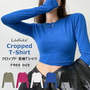 長袖Tシャツ レディース 長袖 クロップド ショート丈 へそ出し クルーネック 無地 トップス ダンスウェア セクシー カジュアルコーデ 春 夏 上品 大人 全5色