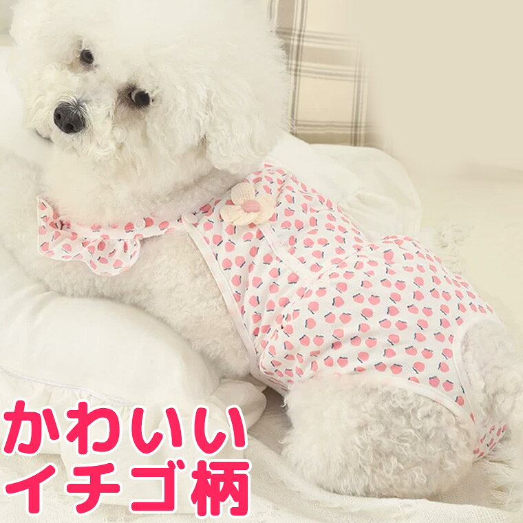 洋服に見える サスペンダー付 苺柄 イチゴ 犬 マナーパンツ マナーベルト メス オス 男の子 女の子 カバー オムツ ずれ 防止 漏れ 犬用 オムツ シニア ずれない 生理用 マナーパッド おむつカバー マーキング おしっこ対策 オス メス 送料無料