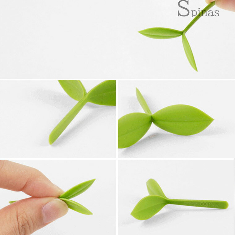 2�ĥ��å� �����������餤�˲İ����� ���� Sprout ���꡼�� �֥å��ޡ��� ������ �դä� �� ���� �� �����ǥ˥� �� �ߤɤ� ����ץ� ���⤷�� ������ ���襤�� ���磻�� ������� ��ޯ�� �ɽ�
