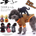 ハロウィンや仮装パーティーに!スカル クモ コウモリ カボチャ クロネコ ペット服 ハロウィン コスチューム 犬服