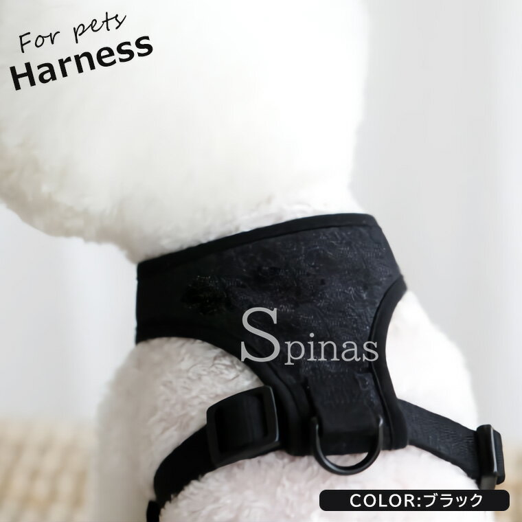 �ڥåȤȰ¿����Ƥ��Ф����Ǥ���ϡ��ͥ��� �ڥå����� �ϡ��ͥ� ���� ǭ�� �ɥå� ����å� ƹ�� D�����դ� ���ݥ���� ���饹�� �� ���� �淿 ���Ф��� ������� ���� ��4��