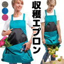 業務用 収穫エプロン 多機能 ガーデニング ワンタッチ ベルト バッククロス ポケット付き 作業 農作業 アウトドア メール便 大きいポケット 芽かき 野菜 果実の収穫 作業エプロン 前掛け 園芸雑貨 珍エプロン 効率 便利グッズ 送料無料