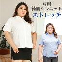 2XL-11XLまで 大きいサイズ専用きれいシルエット ストレッチ 半袖 白シャツ ブルー 襟付き スーツ 半袖シャツ 半袖ブラウス 制服 ボタン ゆったり ぽっちゃりさん OL 会社 通勤