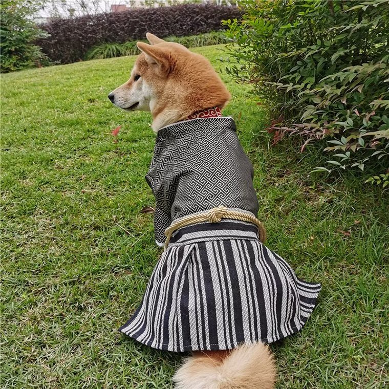 ���פ����Ƥ��������ʤ롪�ڥå��� ��� ��ʪ �ڤ䤫 ���פ� �������ԡ��� �ڥåȥ����� �ɥå������� ��������ʪ ��ǰ���� ǭ���� �ֲ���� ���Ф��� ���󥹥��Ǥ�