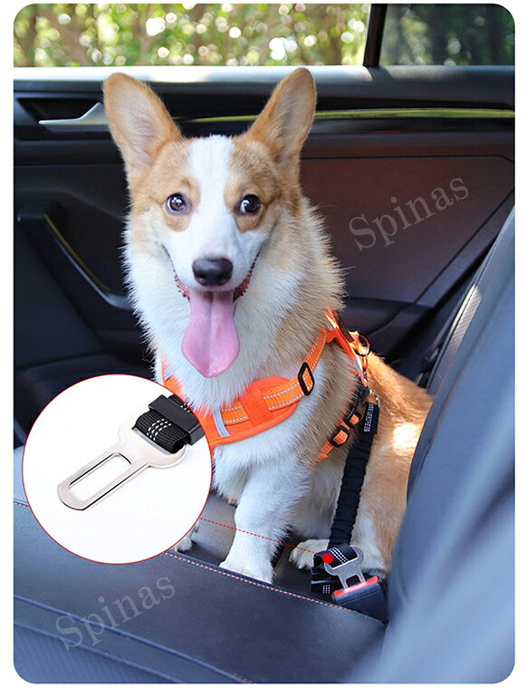 転倒予防、車内での行動範囲の制限が可能！2色展開 2本セット 犬用 シートベルト ...
