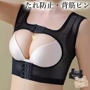 2個セット たれ防止 40代 50代 背筋もピンと ブラジャー 背筋 矯正 ベルト 猫背 補正 肩甲骨 サポーター バストアップ 谷間メイク ダブルホック ボディシェイパー 背筋サポートインナー(4)