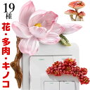 19種類 スイッチプレートを華やかに スイッチプレート装飾 貼るタイプ
