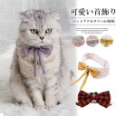 シャツ襟と大きなリボンタイが目を惹くパーティーカラー!ペット用スタイ ネクタイ 猫用 蝶ネクタイ アクセサリー 首輪 猫用 バイカラー 配色 JK チェック 付...