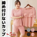 5XLサイズまで 上下セット 締め付けないカップ Tシャツ&ショートパンツ ルームウェア 柔らかもっちり パット付半袖Tシャツ ラウンドネック アンダーフリー ゴムなし ブラトップ 半袖 前のみ パッドのみ 固定 ルームウェア ナイトブラ 送料無料