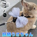 2個セット 妖精みたいに可愛い リボンハーネス パールビーズ お散歩リード うさぎ用 ウサギ用 リード ハーネス うさぎハーネス ペットウェア うさぎウェア ネクタイ フリル フリルスカート 小動物用 お散歩 さんぽ お出掛け こども 子供 送料無料