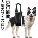 大型犬サイズあり 歩行補助ベルト 幅広 裏ボア 犬 後ろ足 ハーネス 介護用品 小型犬 散歩 老犬介護用品 老犬 足 保護高齢犬用 高齢犬 シニア 脚 腰 後ろ...