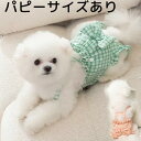パピー対応 ワンコもニャンコも リボン 肌ざわりいいマナーウェア ワンピース ロンパース 腹巻 マーキング防止 尿漏れ おむつカバー 舐め防止 旅行 犬用マナーベルト マナーバンド マナースカート フリル メス 女の子 介護 ヒート 生理 旅行 送料無料