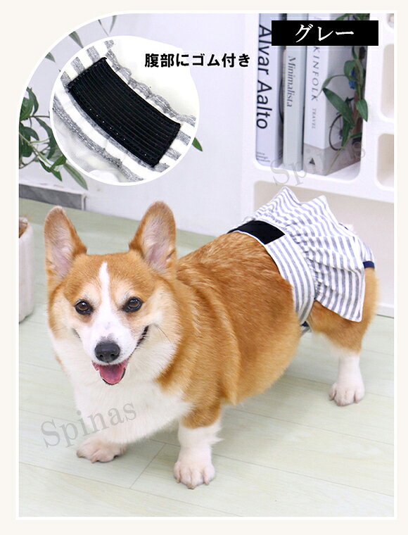 サニタリー用や老犬の介護用としても活躍！2色展開 犬用 生理パンツ 犬 マナーパン...