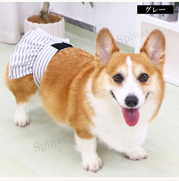 サニタリー用や老犬の介護用としても活躍！2色展開 犬用 生理パンツ 犬 マナーパン...