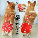 サスペンターは取り外し可能でバンツのみ着用も可能!2色展開 犬用 ドット柄 サニタリーパンツ 生理パンツ マナーパンツ メス オス シニア 介護用 介護用パンツ おさえパンツ 不妊手術後 去勢手術後 ナメ防止 失禁用 綿 マーキング防止 生理対策 お漏らし