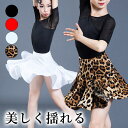 120-180サイズ 揺れて映える キッズ用 定番カラー ダンススカート フリンジ ラテンドレス 社交ダンス衣装 子供 ラテンダンスウェア 女の子 子供用 ダン...