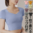 S-2XLサイズ 1枚で着れる 袖付きスポーツブラ ジムにも パット付半袖Tシャツ 筋トレウェア レディース ショート丈 ブラトップ 半袖 固定 ルームウェア カップ付き フィットネス ヨガ ピラティス ジム トレーニング ウェア トップス 送料無料