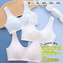 バックメッシュ仕様で通気性抜群 ♪2枚セット 3色展開 インナー ガールズ 小学生 ジュニア 女の子 発育期 ノンワイヤー カップ付き ベスト型 ブラジャー 柔らかい シンプル 肌着 女児下着 吸汗速乾 快適 薄手 美背 思春期 女の子 下着 中学生 小学生