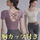 S-2XLサイズ 1枚で着れる 背中クロス 袖付きスポーツブラ ジムにも パッド付半袖Tシャツ 筋トレウェア レディース ショート丈 ブラトップ 半袖 固定 ルームウェア カップ付き フィットネス ヨガ ピラティス トレーニング トップス 送料無料