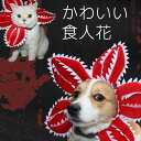 おもしろ可愛いかぶりもの 被り物 犬 ニット帽 秋冬 ペット帽子 コスチューム コスプレ 防寒 キャラクター 映画 ホラー 耳汚れ防止 人食花 フラワー ハロウ...