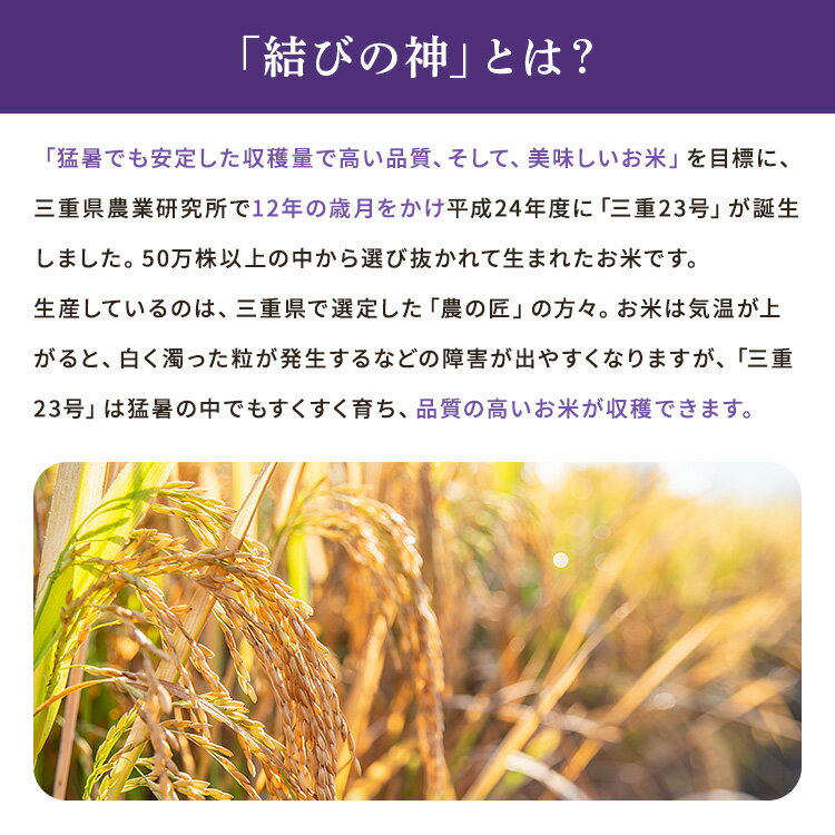米5kg 令和7年産 三重県伊賀産 結びの神 精米 白米 お米 あっさり ふっくら もちもち 高品質【お届け不可地域：北海道・沖縄・離島】 おにぎり おむすび 弁当 ご飯 国産 粘り 米屋 三重県 甘味 寿司 カレー 和食