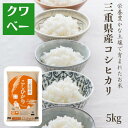 米5kg 令和6年産 三重県産 コシヒカリ 金印 5kg 送料無料 精米 白米 国内産 米屋 甘い 高品質 宅配 日付指定 【お届け不可地域:北海道・沖縄・離島】 粘り バランス 旨味 美味しい おにぎり おむすび 弁当 定食 ご飯 ハンバーグ とんかつ 早い 硬くなりにくい I1 new
