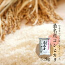 桑名産 コシヒカリ 令和5年産 5.2kg 精米 白米  C2