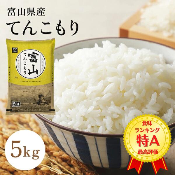 米 5kg 令和7年産 富山県産てんこもり 特A 精米 白米 送料無料 国内産 米屋 甘い 高品質 宅配 日付指定 【お届け不可地域：北海道・沖..