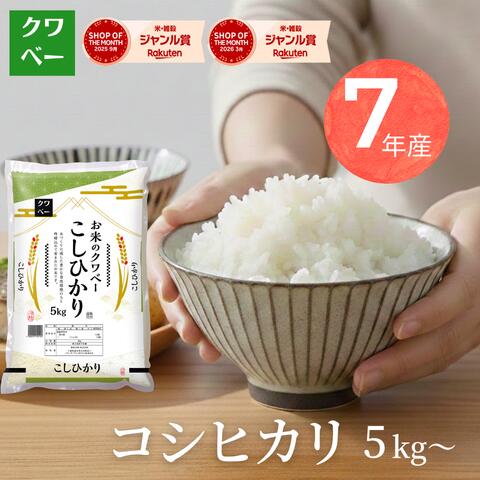 令和7年産 コシヒカリ 5kg 10kg 15kg 送料無料 精米 白米 国内産 米屋 甘い 日付指