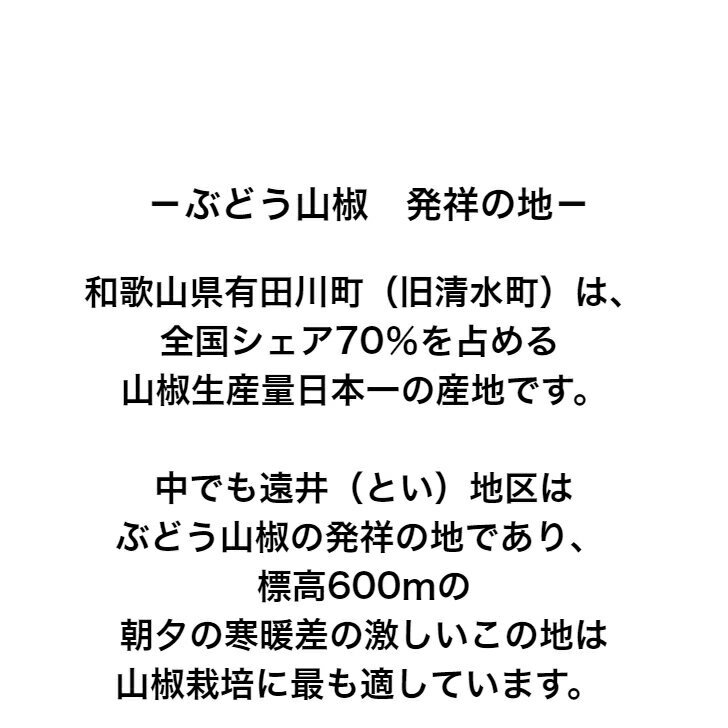【和歌山県産】ぶどう山椒500g実山椒産地直送山椒の実紀州和歌山国産生山椒青山椒