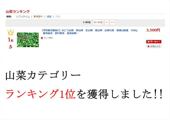 【和歌山県産】ぶどう山椒500g実山椒産地直送山椒の実紀州和歌山国産生山椒青山椒