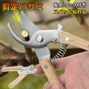 【P5!最大150円OFF!】剪定ばさみ ハサミ 枝切りバサミ 剪定はさみ シルバー 握りやすい 剪定バサミ 剪定鋏 せんていばさみ 枝きりばさみ 庭木の剪定 ...