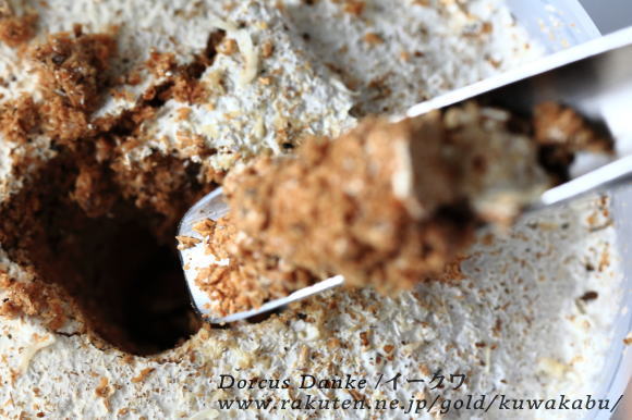 ��ñ�˥ۥ�����