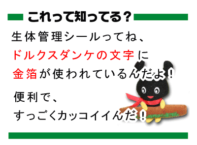 ���δ���������4�祻�å�