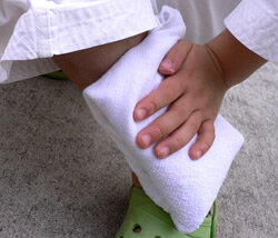 フリーザーアイス(保冷剤)400g★1個通販格安セール情報 楽天 通販