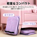 【10段階】ソフト ストレッチボード コンパクト 省スペース 軽量 耐荷重(4)