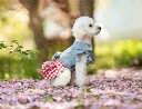 ★2024新発売★犬服 ドッグウェア 犬の服 ペット服 犬 服 可愛いセール ブランド Tシャツ お散歩 お出かけ おしゃれ 秋 冬 春 夏 新作 インナー お...