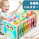 知育玩具 木製 積み木 磁石 釣り 幼児槌で打つネズミ 打楽器 赤ちゃん ブロック 可愛い 子供用 幼児用 男の子 女の子 木のおもちゃ ドロップインザボックス 誕生日 プレゼント 贈り物 入学祝い