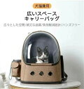 猫キャリー キャリーバッグ 適用対象:10キロ以内ペット ペットリュック ペットキャリー キャリーバッグ 犬猫兼用 広いスペース 猫用キャリー 猫用バッグ ペッ...
