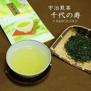 京都府産煎茶 千代の寿<ちよのことぶき> 緑茶 日本茶 茶葉 茶 お茶 お茶の葉 京都 高級 宇治 おいしい 美味しい 伝統 急須 国産 産直 お取り寄せ おとりよせ 和束 メール便 和束茶 ご当地