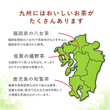 【送料無料】味くらべ!九州緑茶味紀行 八女茶・嬉野茶・知覧茶 お好きな2袋が選べるます濃厚 産地直送 お取り寄せ お茶 煎茶 セット 飲み比べ 手土産 セット うれしの茶 緑茶 新茶 日本茶 茶葉 詰め合わせ お試し トライアル 美味しい 敬老の日 プレゼント メール便
