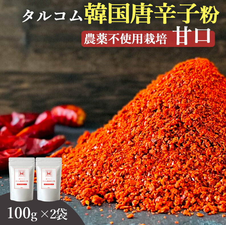 韓国産 唐辛子 粉末 100g 2袋セット 送料無料 (韓国産 農薬不使用唐辛子100%粉末) ダイエット カプサイ..