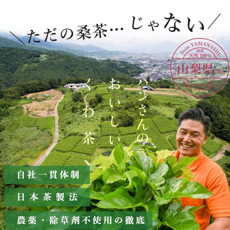 桑の葉茶 国産 粉末 90g 3袋セット 送料無料 (山梨県産 桑100%パウダー) 糖質制限 糖質対策 中性脂肪 体脂肪 血糖値 ダイエット 桑 桑の葉 桑茶 くわ くわ茶 桑の葉青汁 農薬不使用 ノンカフェイン 妊婦 お茶 免疫力 桑郷