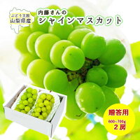 シャインマスカット 産地直送 2房 約1.2kg 送料無料 (山梨県産 シャインマスカット) 果物 ぶどう ブドウ 葡萄 マスカット 高級 大粒 種なし 皮ごと 高糖度 贈呈 贈答 贈り物 ギフト 化粧箱入り お中元 敬老の日 桑郷