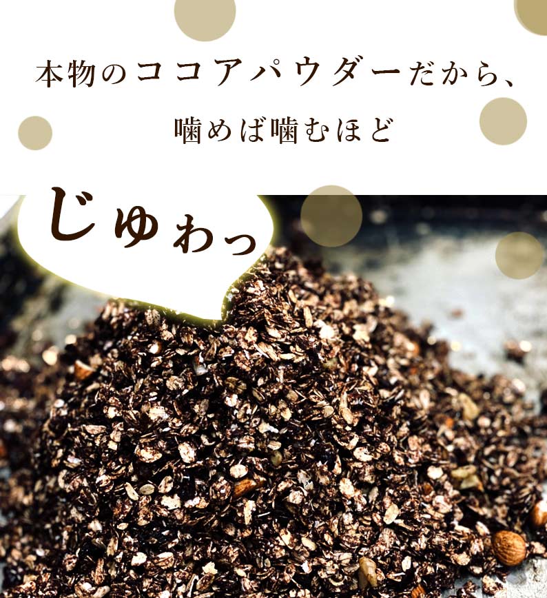 グラノーラ チョコ 無添加 280g 送料無料 (自家製窯焼き 天然素材100%) 穀物 麦 オーツ麦 オートミール ココアパウダー チョコチップ カカオ ナッツ アーモンド くるみ クランベリー レーズン メープルシロップ こめ油 粗糖 食物繊維 朝食 牛乳 抗酸化 桑郷