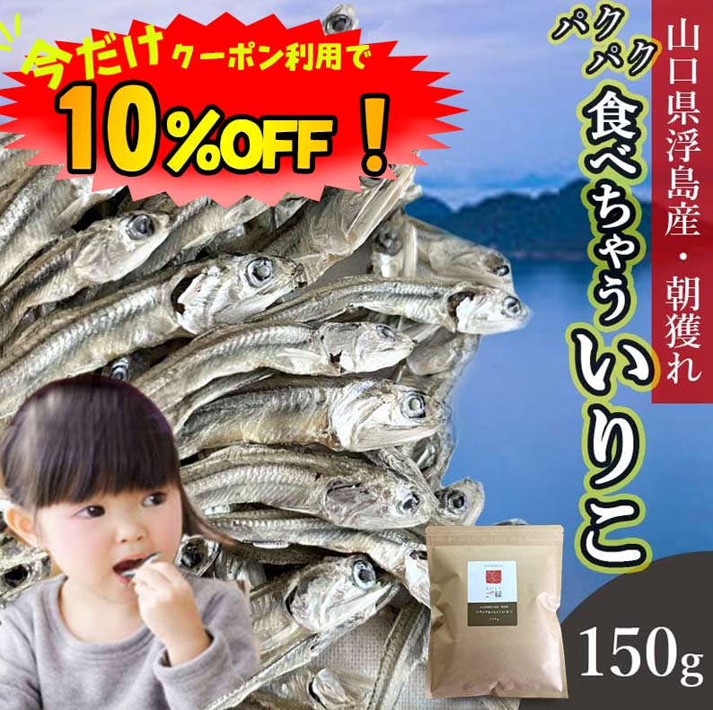 【数量限定！10%OFF ※対象期間は16日