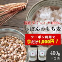 【数量限定！1000円ポッキリ ※対象期間は4日20:00〜】もち麦 国産 400g 2袋セット 送料無料 (国産 希少ダイシモチ100%) ダイエット 腸内環境 内臓脂肪 食物繊維 ポリフェノール 無添加 雑穀 大麦 裸麦 もち麦 もちむぎ 餅麦 ダイシモチ テレビ 話題 免疫力 桑郷