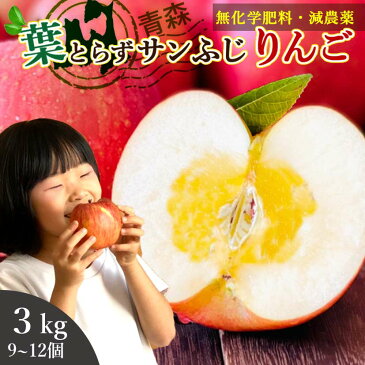 りんご 3kg 約9-12玉 送料無料 (青森県産 特別栽培の葉とらずりんご) 食物繊維 カリウム 青森 本場 サンふじ 林檎 リンゴ Apple 蜜入り 高糖度 産地直送 家庭用 訳あり りんごジュース 化学肥料不使用 旬 フルーツ 虫歯予防 生活習慣病予防 桑郷