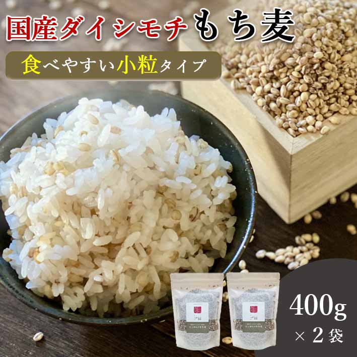 もち麦 国産 ダイシモチ 400g 2袋セッ